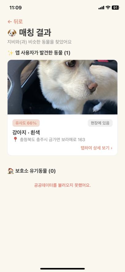 AI 매칭 결과 — 분실 동물과 발견 동물의 유사도 분석